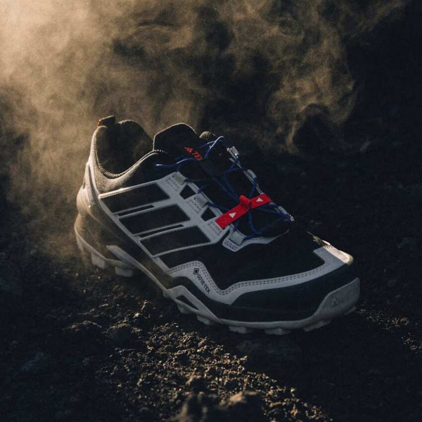 Adidas Terrex Skychaser GTX Siyah Erkek Outdoor Ayakkabı - 10