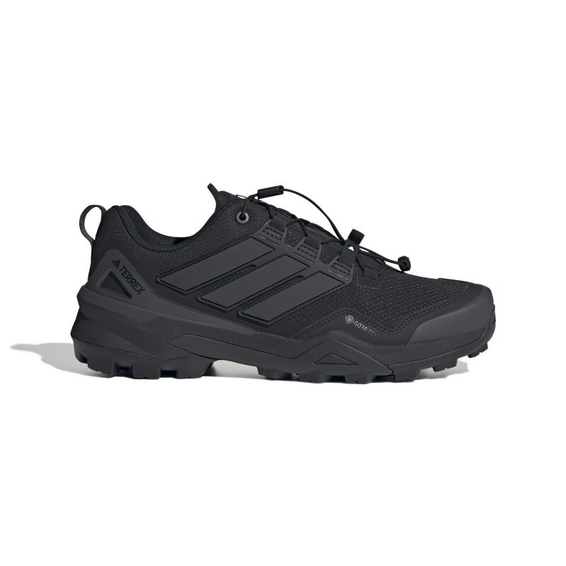 Adidas Terrex Skychaser GTX Siyah Erkek Outdoor Ayakkabı - Adidas