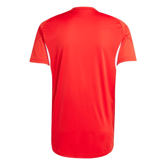 Adidas Tiro25C Tr Jsy Erkek Forma - 2