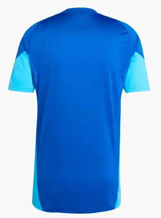 Adidas Tiro25C Tr Jsy Erkek Forma - 2