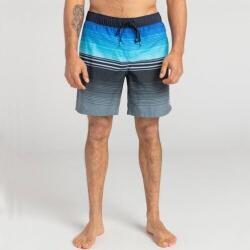 Billabong ALL DAY HTR STRIPE LB Mavi Erkek Mayo - 1