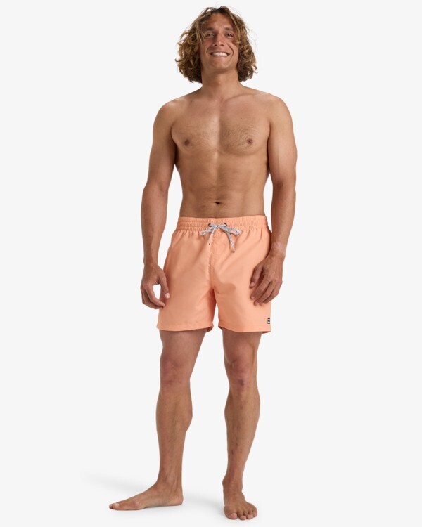 Billabong All Day LB Erkek Mayo - 3