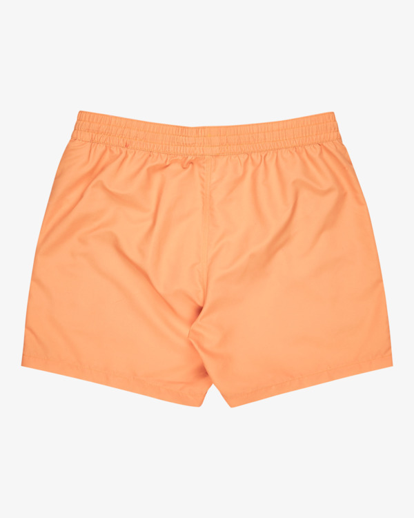 Billabong All Day LB Erkek Mayo - 2