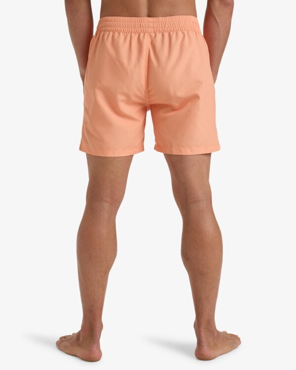 Billabong All Day LB Erkek Mayo - 4