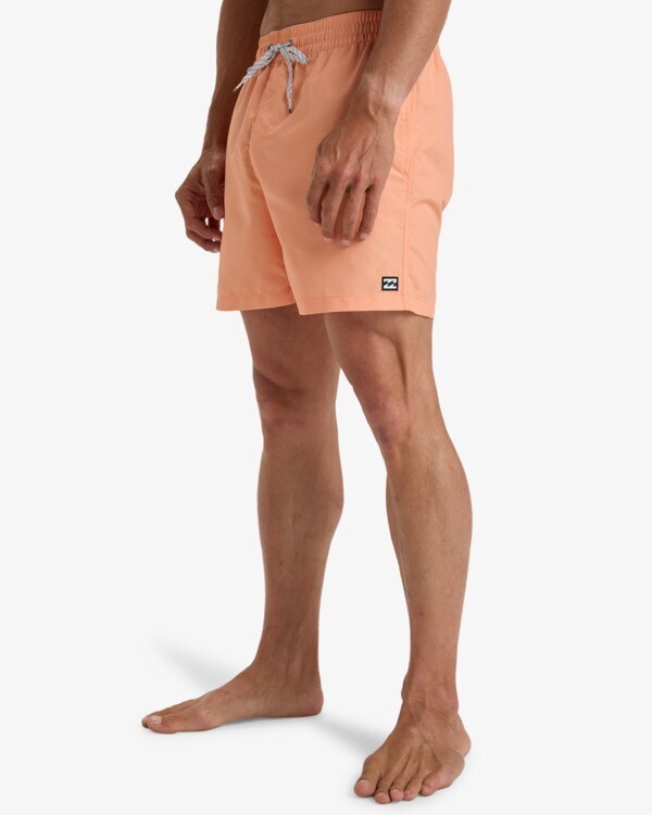 Billabong All Day LB Erkek Mayo - 5