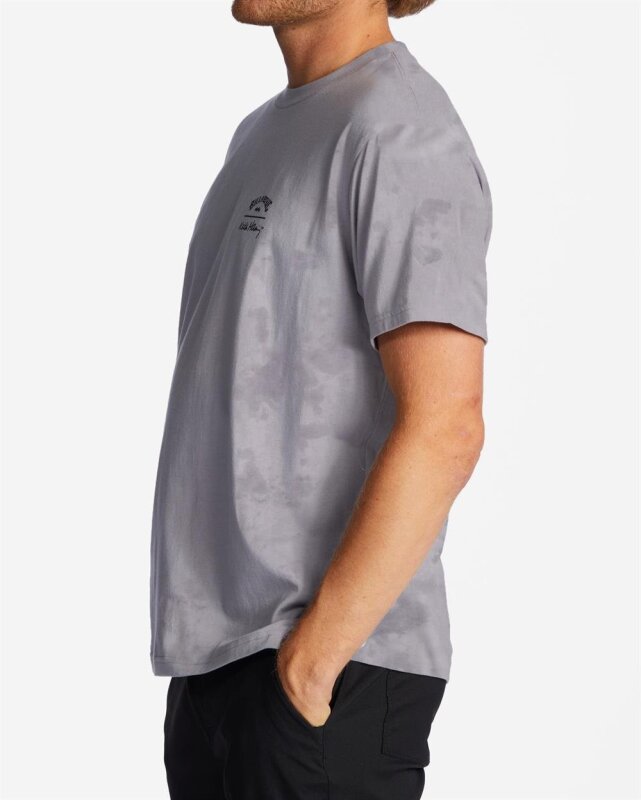 Billabong DOLPHIN DANCE SS Gri Erkek Tshirt - 2