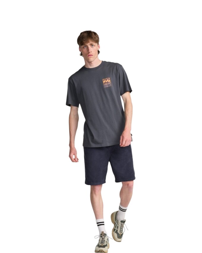 Billabong Stamp SS Mavi Erkek Tshirt - 2