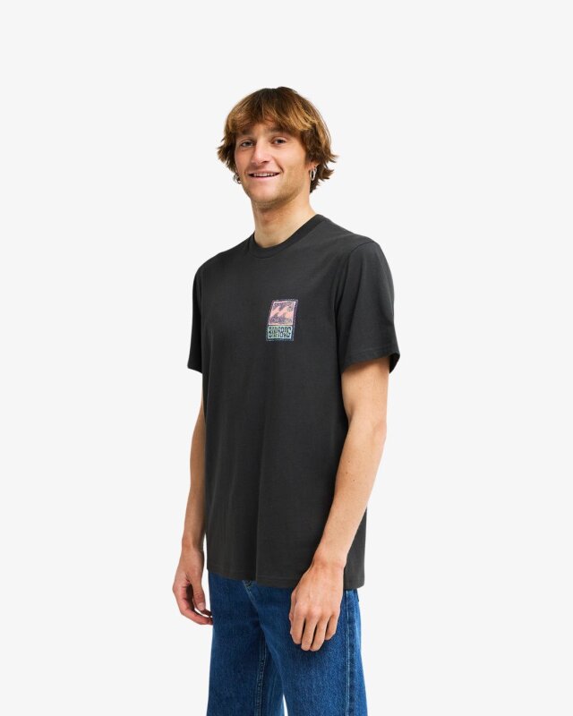 Billabong Stamp SS Siyah Erkek Tshirt - 5