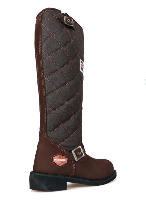 Harley Davidson LACONIA HI 646 Kahverengi Kadın Bot - 4