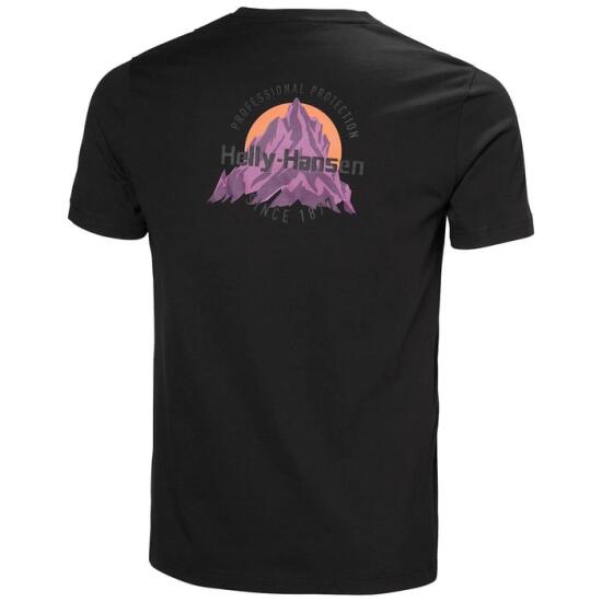 Helly Hansen Helly Hansen Core Graphic T-Shirt 2.0 Erkek Tshirt - 2