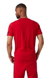 Helly Hansen RWB GRAPHIC T-SHIRT KIRMIZI Erkek Tshirt - 2