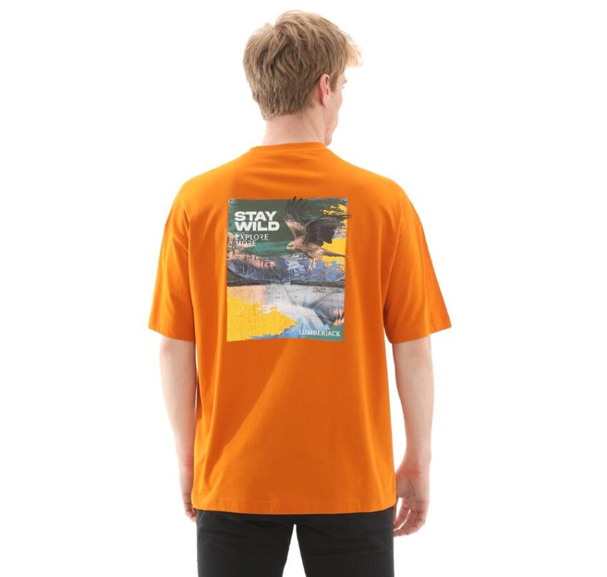 Lumberjack 5M ML Star 11OTD1-27 5FX Erkek Tshirt - 4