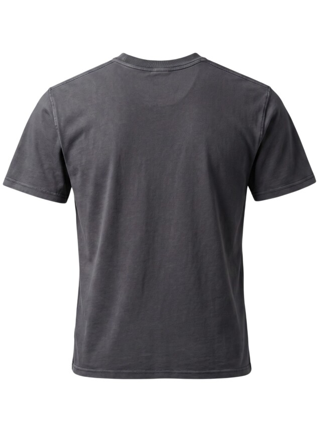 Lumberjack 6M MB C Neck 11BS38 6FX Antrasit Erkek Tshirt - 2