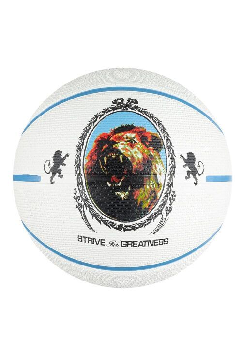 Nike NIKE PLAYGROUND 2.0 8P L JAMES DEFLATED BEYAZ Unisex Basketbol Topu - 1