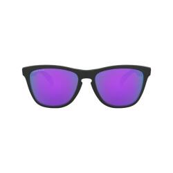 Oakley Frogskins Erkek Güneş Gözlüğü - 2
