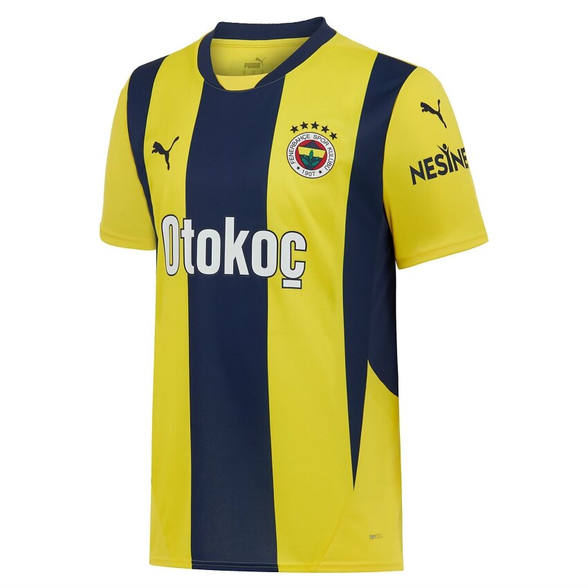 PUMA Fenerbahçe 24/25 Erkek Forma - 1