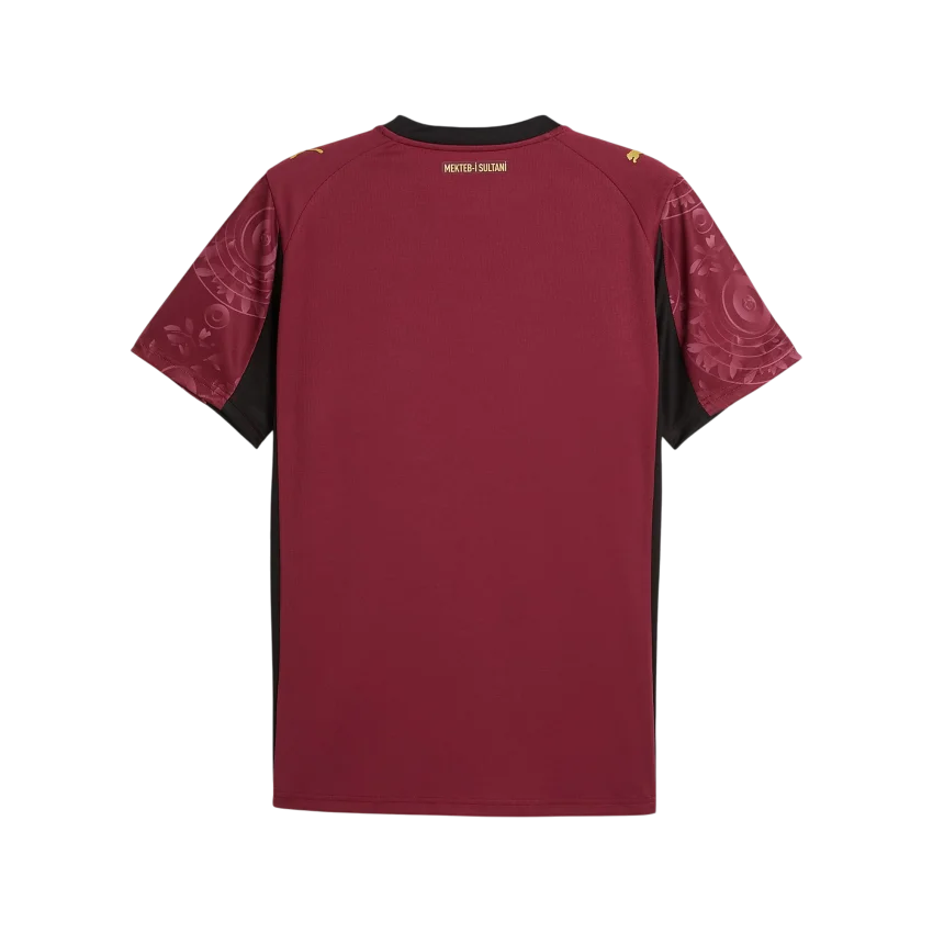 Puma Galatasaray 25/26 Alternatif Kırmızı Erkek Forma - 2