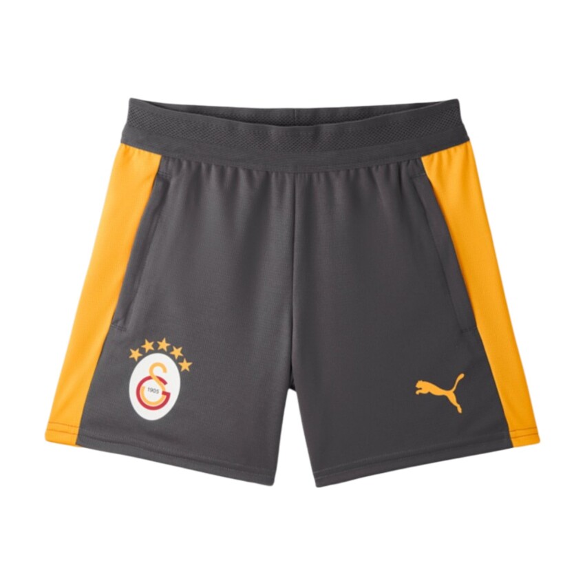 Puma Galatasaray Antrenman Antrasit Çocuk Şort - 1