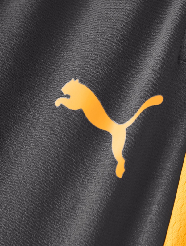Puma Galatasaray Antrenman Antrasit Erkek Eşofman Altı - 6