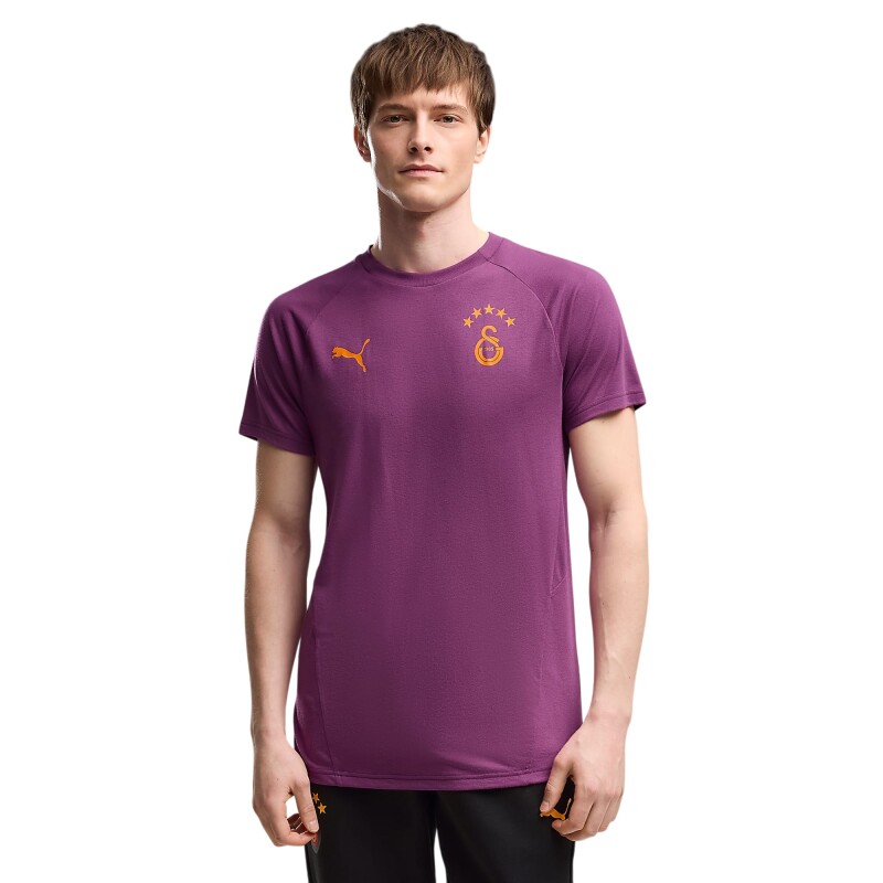 Puma Galatasaray Evostripe Mor Erkek Tshirt - Puma