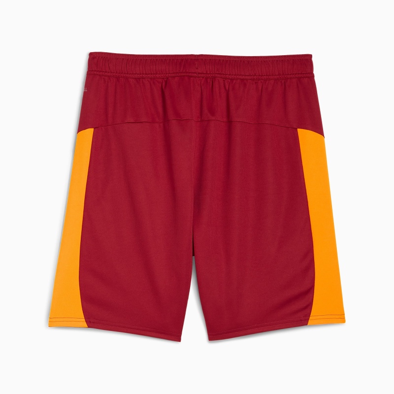 Puma Galatasaray Sarı-Kırmızı Erkek Şort - 2