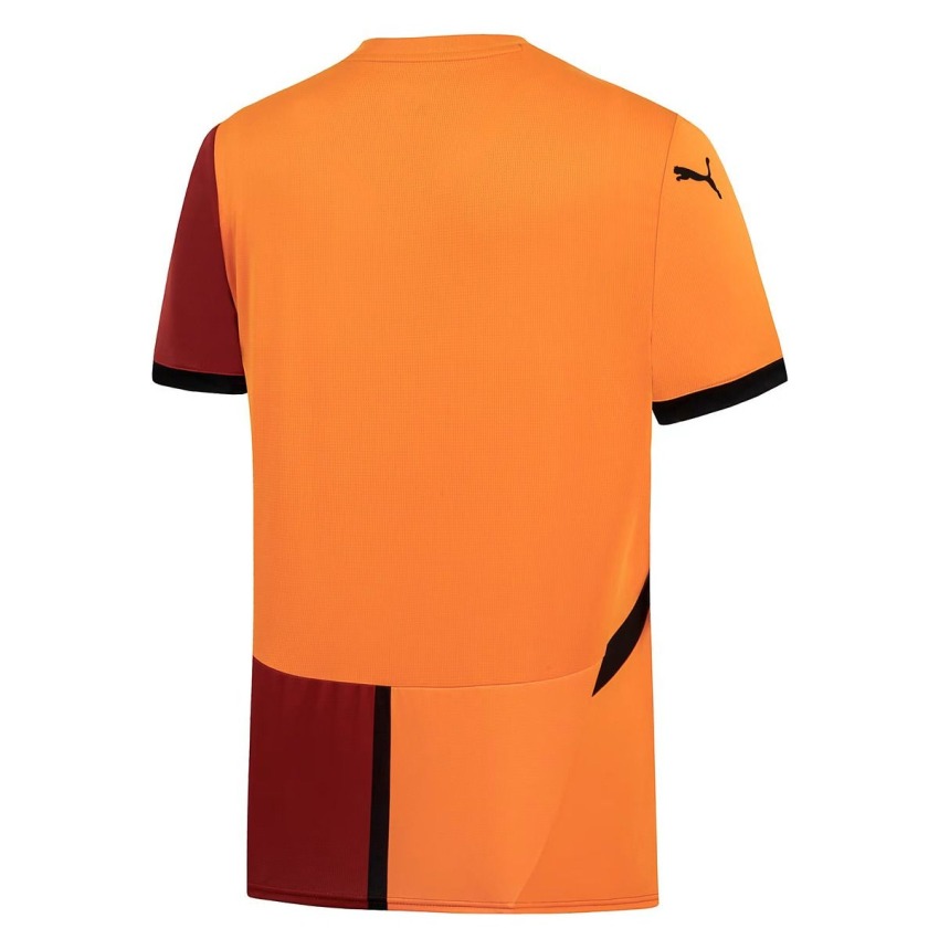 Puma Galatasaray S.K. 24/25 ERKEK İÇ SAHA FORMASI - 2