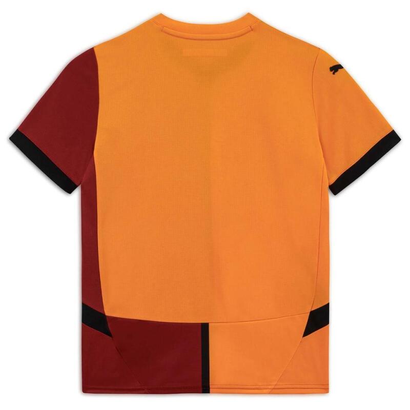 Puma Galatasaray 2024-2025 Stadium İç Saha Çocuk Forma - Puma (1)