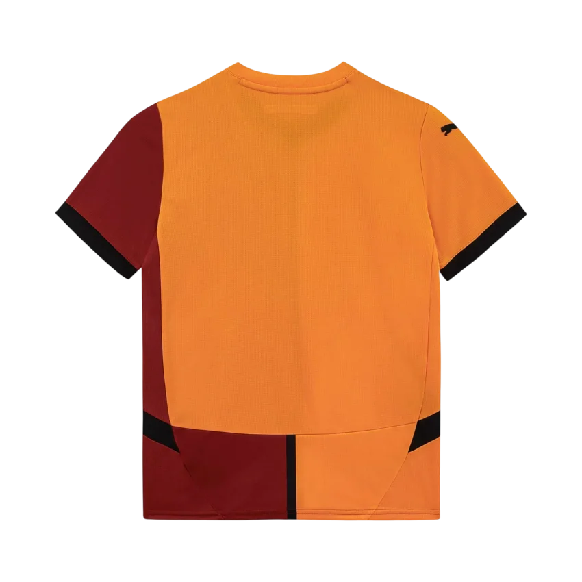 Puma Galatasaray 2024-2025 Stadium İç Saha Çocuk Forma - 2