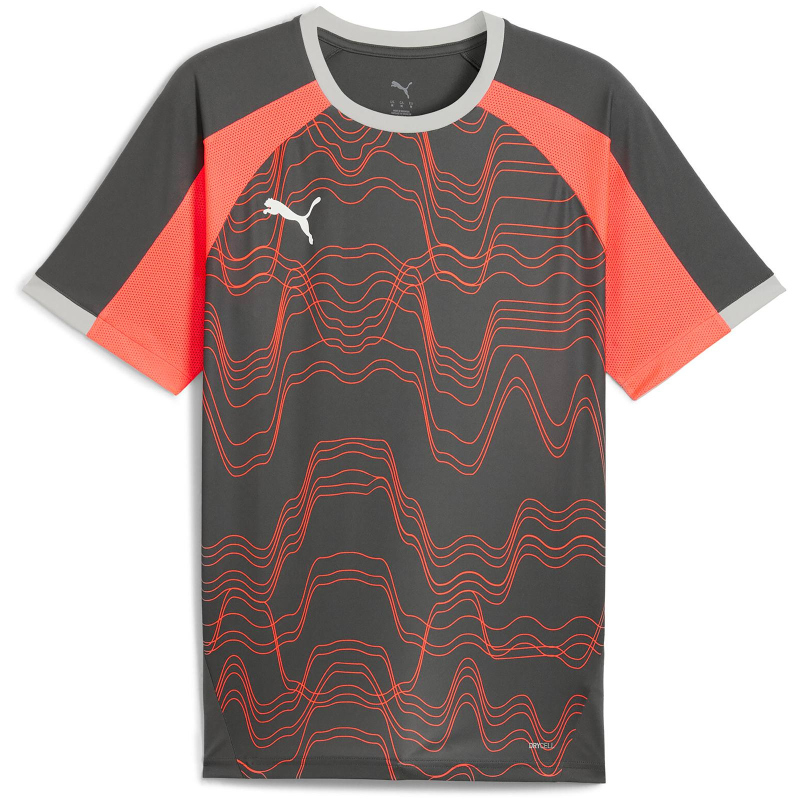 Puma IndividualLiga Graphic Gri Erkek Forma - 1