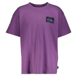 Quiksilver BACK FLASH SS Mor Erkek Tshirt - 1