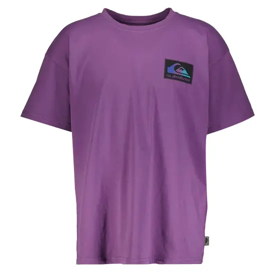 Quiksilver BACK FLASH SS Mor Erkek Tshirt - 1