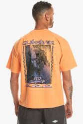 Quiksilver BACK FLASH SS Turuncu Erkek Tshirt - 2