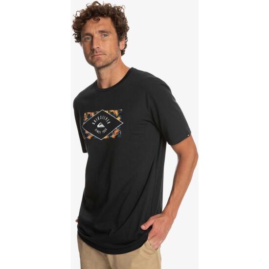 Quiksilver CIRCLEDLINE M TEES Antrasit Erkek Tshirt - 2