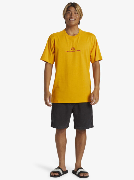 Quiksilver DRAGON FIST MOE SARI Erkek Tshirt - 5
