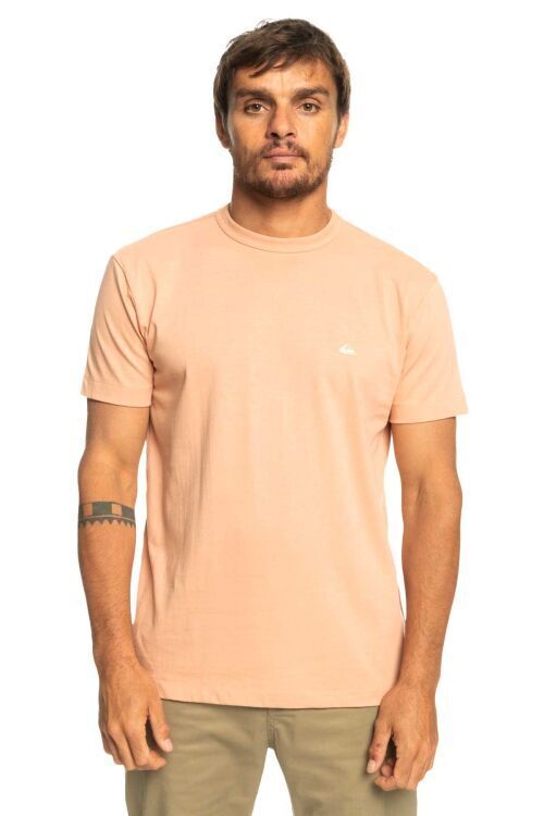 Quiksilver ESSENTIALS SS Pembe Erkek Tshirt - 1