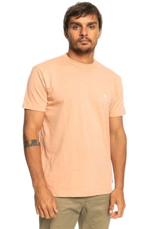 Quiksilver ESSENTIALS SS Pembe Erkek Tshirt - 2