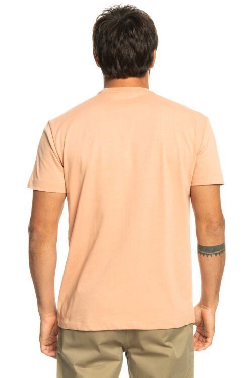 Quiksilver ESSENTIALS SS Pembe Erkek Tshirt - 3