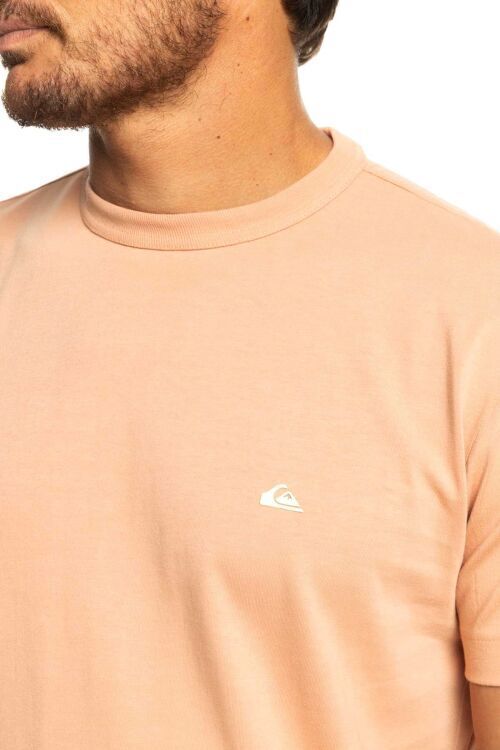 Quiksilver ESSENTIALS SS Pembe Erkek Tshirt - 4
