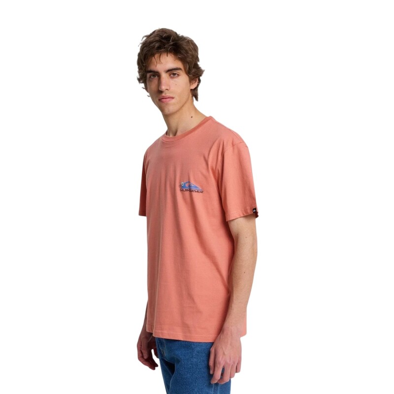 Quiksilver EV Barrel Parad Pembe Erkek Tshirt - 1