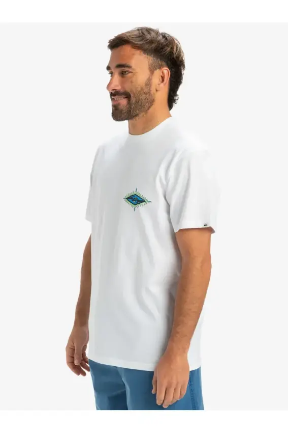 Quiksilver EV Beach Blast SS Erkek Tshirt - 2