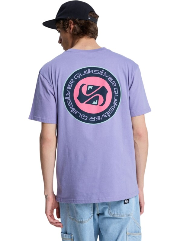 Quiksilver EV Duality Mor Erkek Tshirt - 4