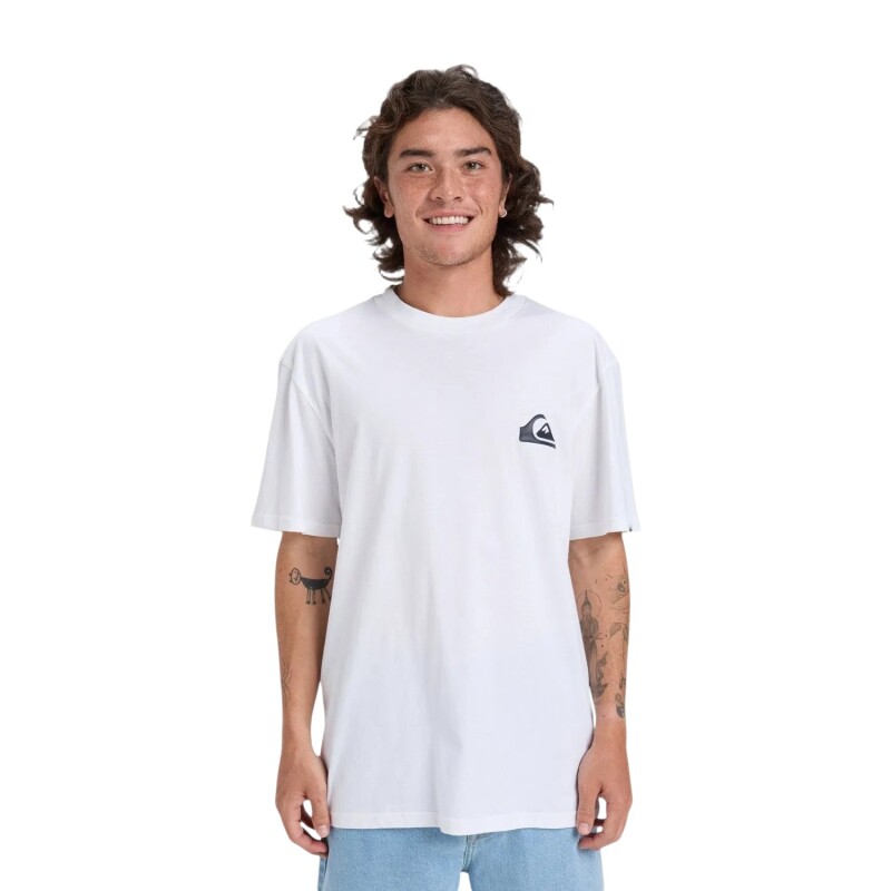 Quiksilver Ev Mini Logo Beyaz Erkek Tshirt - Quiksilver