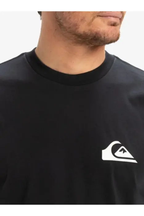 Quiksilver EV Mini Logo SS Erkek Tshirt - 2