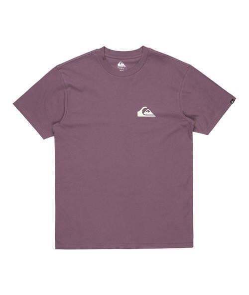 Quiksilver EV Mini Logo SS Erkek Tshirt - 6