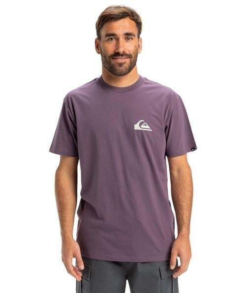 Quiksilver EV Mini Logo SS Erkek Tshirt - 1