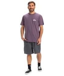 Quiksilver EV Mini Logo SS Erkek Tshirt - 3