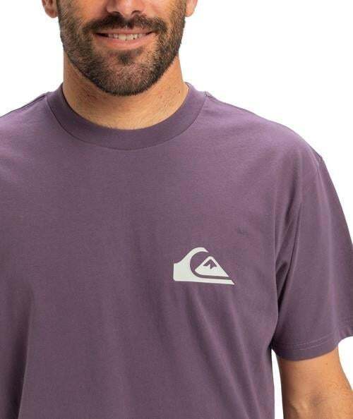 Quiksilver EV Mini Logo SS Erkek Tshirt - 5