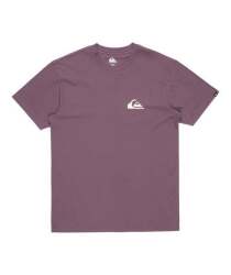 Quiksilver EV Mini Logo SS Erkek Tshirt - 6