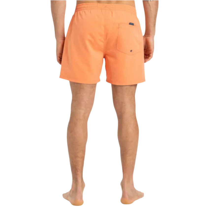 Quiksilver Everday Solid Volley 15 Erkek Mayo - 3