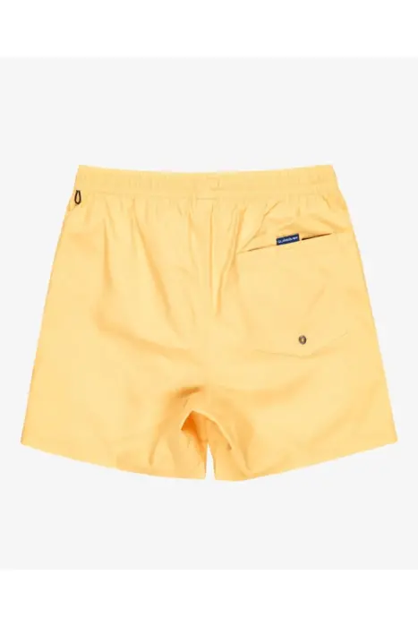 Quiksilver Everday Solid Volley 15 Erkek Mayo - 2